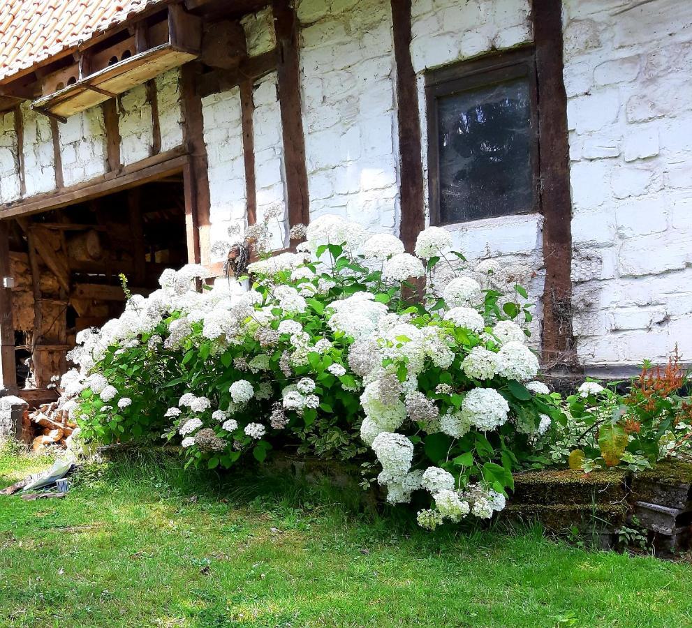 Le Domaine Des Anges Guest House Wavrans-sur-l'Aa Exterior photo